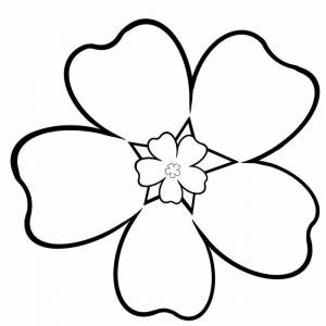 Незабудка контурный рисунок