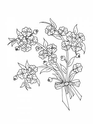 Раскраска Незабудка   в формате