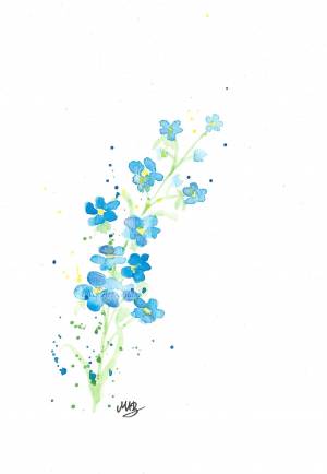 Незабудка рисунок карандашом поэтапно