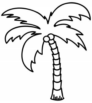 Кокосовая пальма