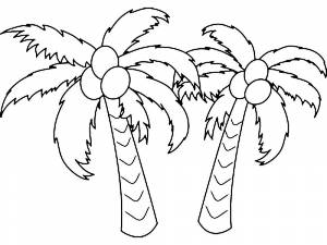 Раскраски Пальма