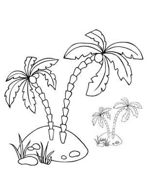 Раскраски Пальма