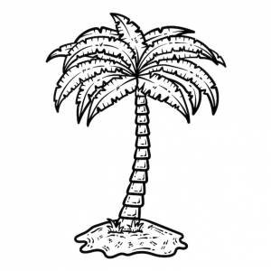 Летняя пальма line art раскраска для взрослых