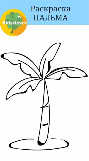 Раскраска пальма для детей
