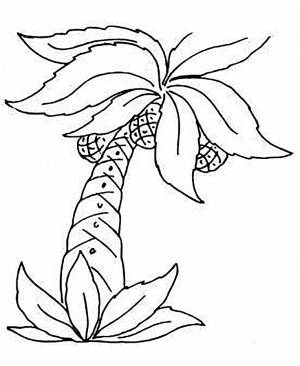 Раскраски Пальма
