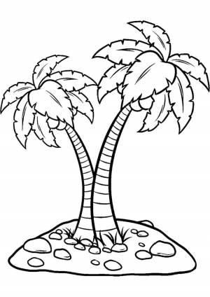 Раскраски, Рисунок пальмы