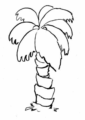 Раскраска Пальма