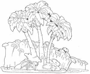 Pаскраска пальма 161126