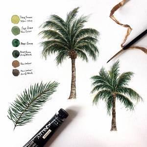 Природа пальмы