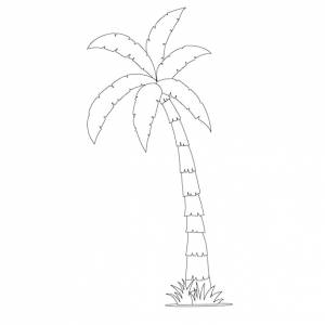 Очерченная мультяшная векторная иллюстрация тропического дерева, раскраски для детей