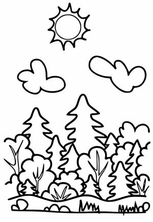 Раскраска Лес Легкий