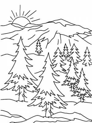 Раскраска Лес картинка на листе  для детей