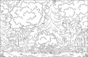 Раскраска Лес