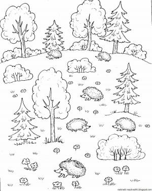 Раскраски Лес для детей
