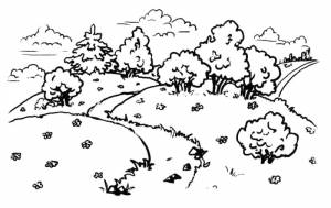 Раскраски лес, Раскраска Опушка леса Лето