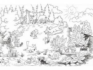 Раскраска Лес   для детей