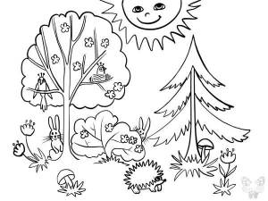 Картинки леса летом для раскраски