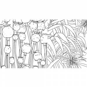 Раскраска-антистресс для творчества и вдохновения Зачарованный лес