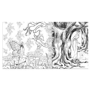 Раскраска-антистресс для творчества и вдохновения Заколдованный лес