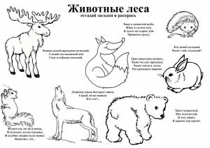 Раскраски Лесные животные