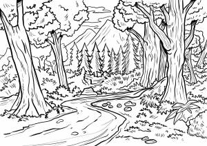 Картинка раскраска лес