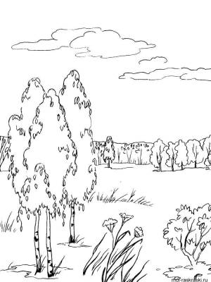 Раскраски Раскраска Пейзаж опушка леса Природа Животные