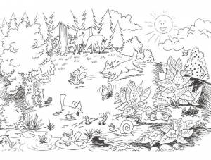 Раскраски лесу, Раскраска Жизнь в лесу Природа