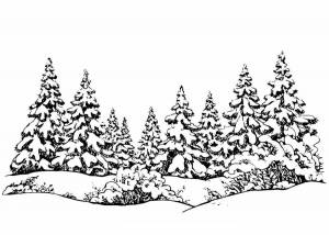 Раскраски Зимний лес пейзаж