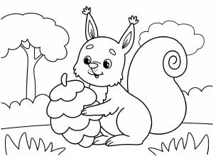 Раскраска «Белочка и шишка»