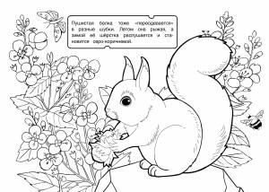 РАСКРАСКА ТРИ ЦВЕТА БУМАГИ