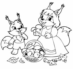 Семья белок