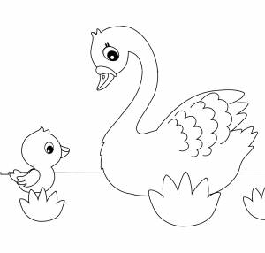Раскраска Лебедь со своим птенцом