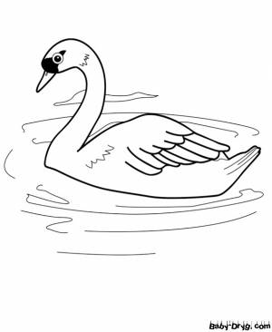 Раскраска Лебедь для детей