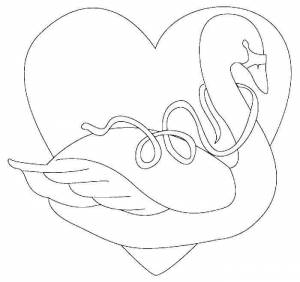 Раскраски Раскраска Лебедь с лентой и сердце День святого валентина