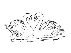 Картинки лебеди на озере раскраска