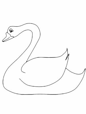 Картинка Лебедь раскраска