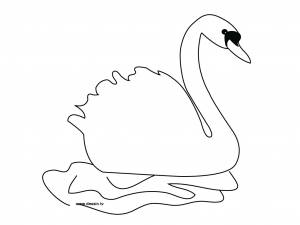 Pаскраска лебедь 4996