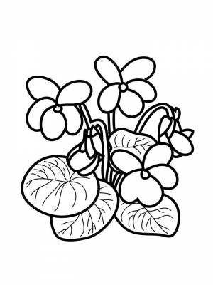 Раскраска цветок Фиалка   в формате