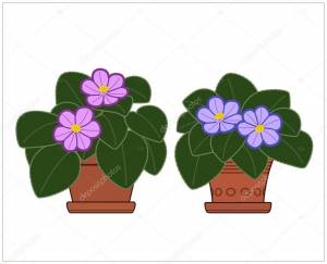 Раскраска фиалка в горшке
