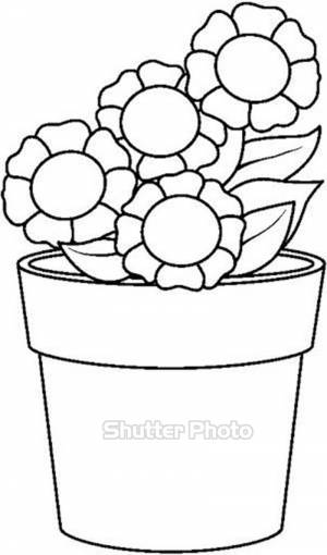 Раскраска фиалка в горшке