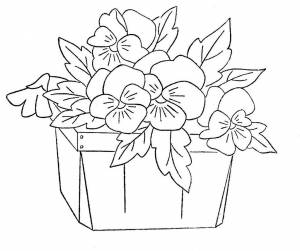Раскраска фиалка в горшке