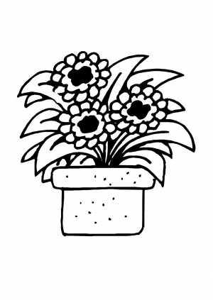 DataLife Engine > Версия для печати > Раскраска фиалка в горшке