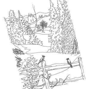 Раскраска лесной зимний пейзаж