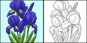 Ирисы цветок раскраски страница цветные иллюстрации