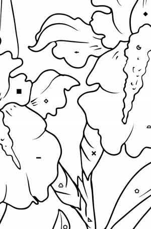 Раскраска Ирис ♥ Онлайн, Скачать и !