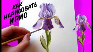 РИСУНКИ ЦВЕТОВ