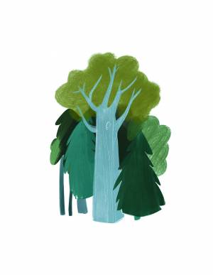 Иллюстрация Секвойя в стиле журнальный, книжная графика, реклама