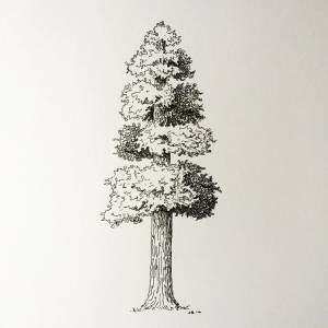 Jesse Smith on Instagram