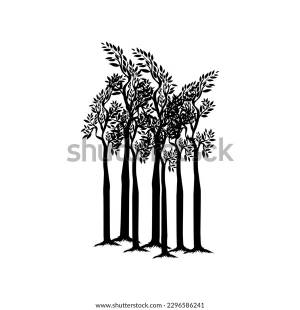 Sequoia Trees Illustration Giant Sequoia Known