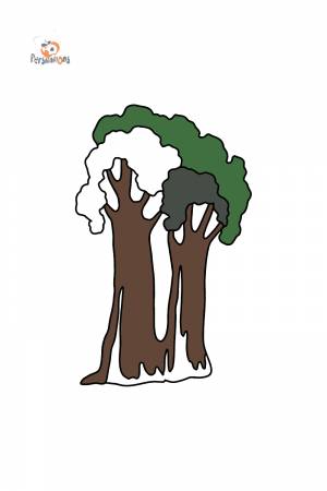 Раскраска секвойя ♥ Онлайн и !